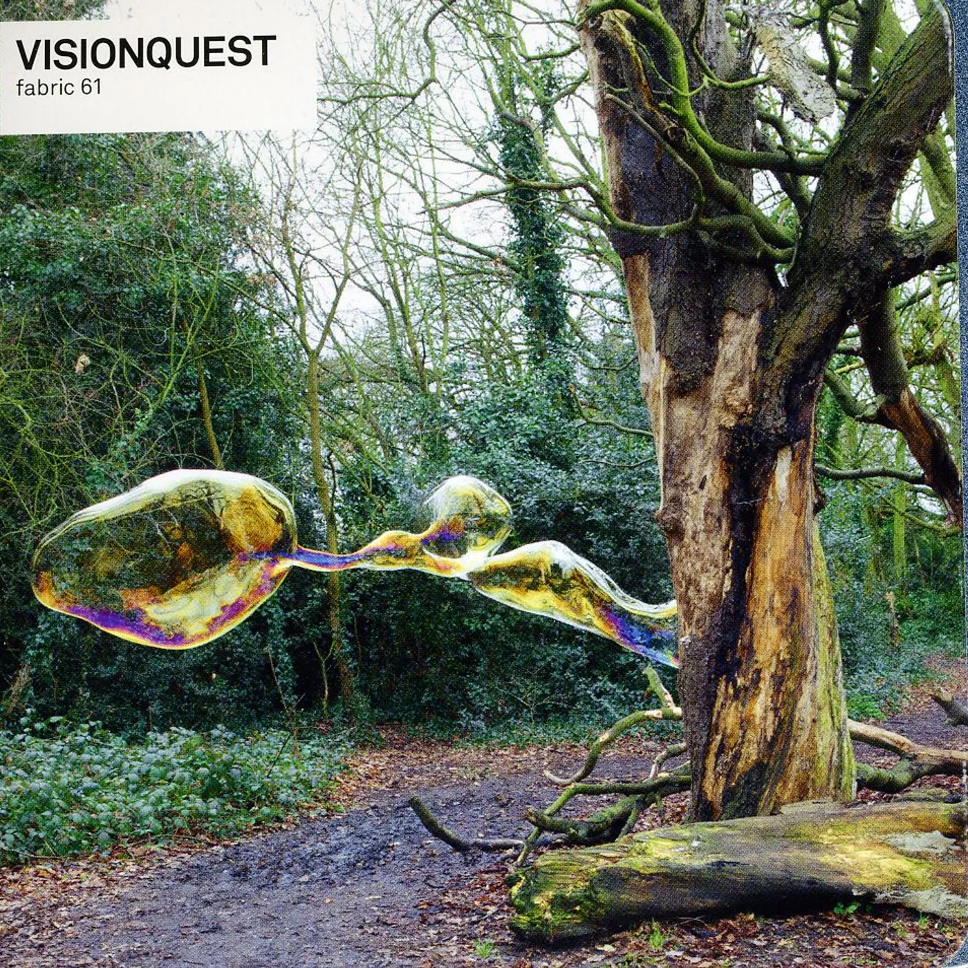 Visionquest FABRIC 61 CD