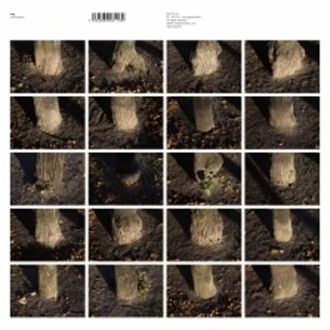 Alog Unemployed Vinyl Record