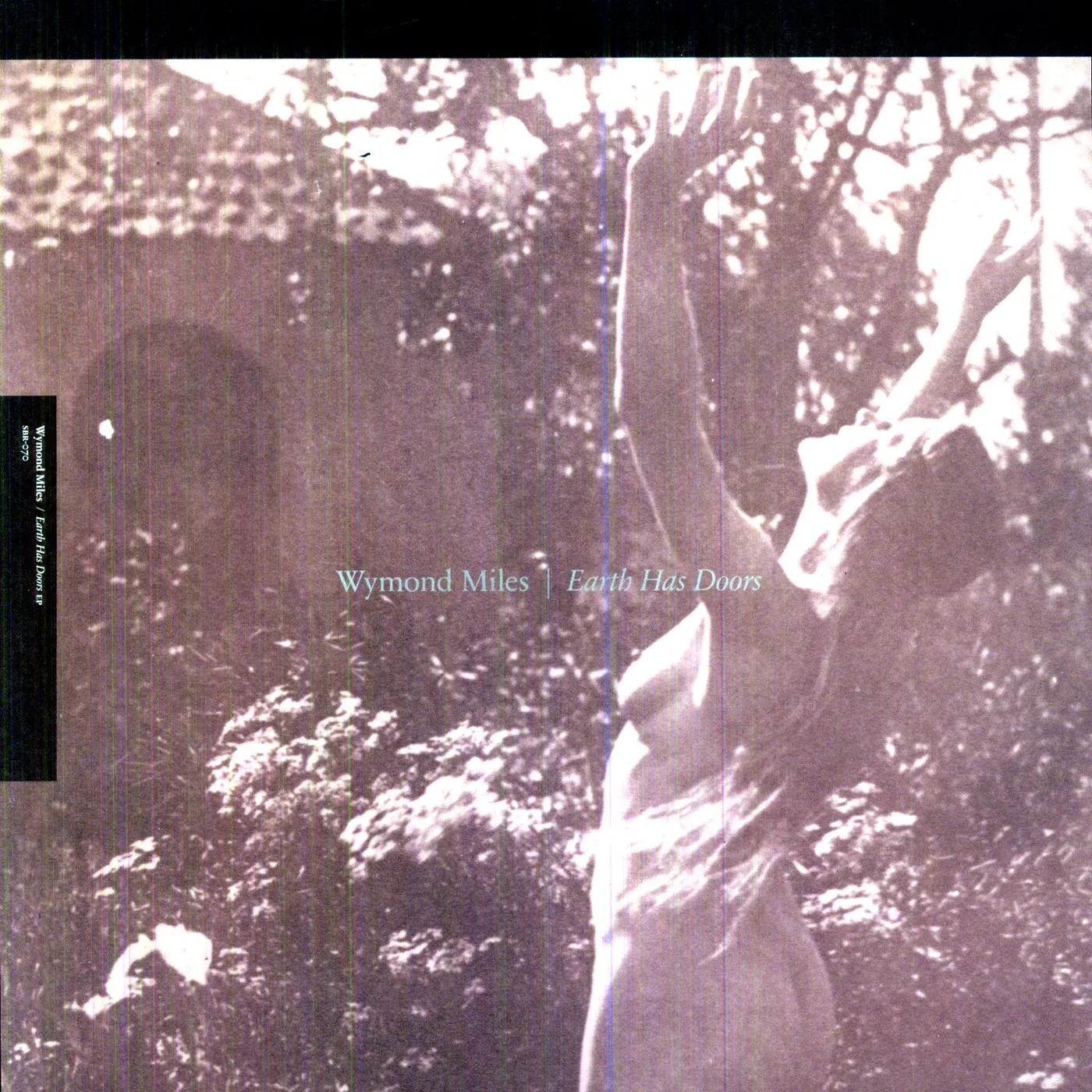 Wymond Miles Earth Has Doors Vinyl Record