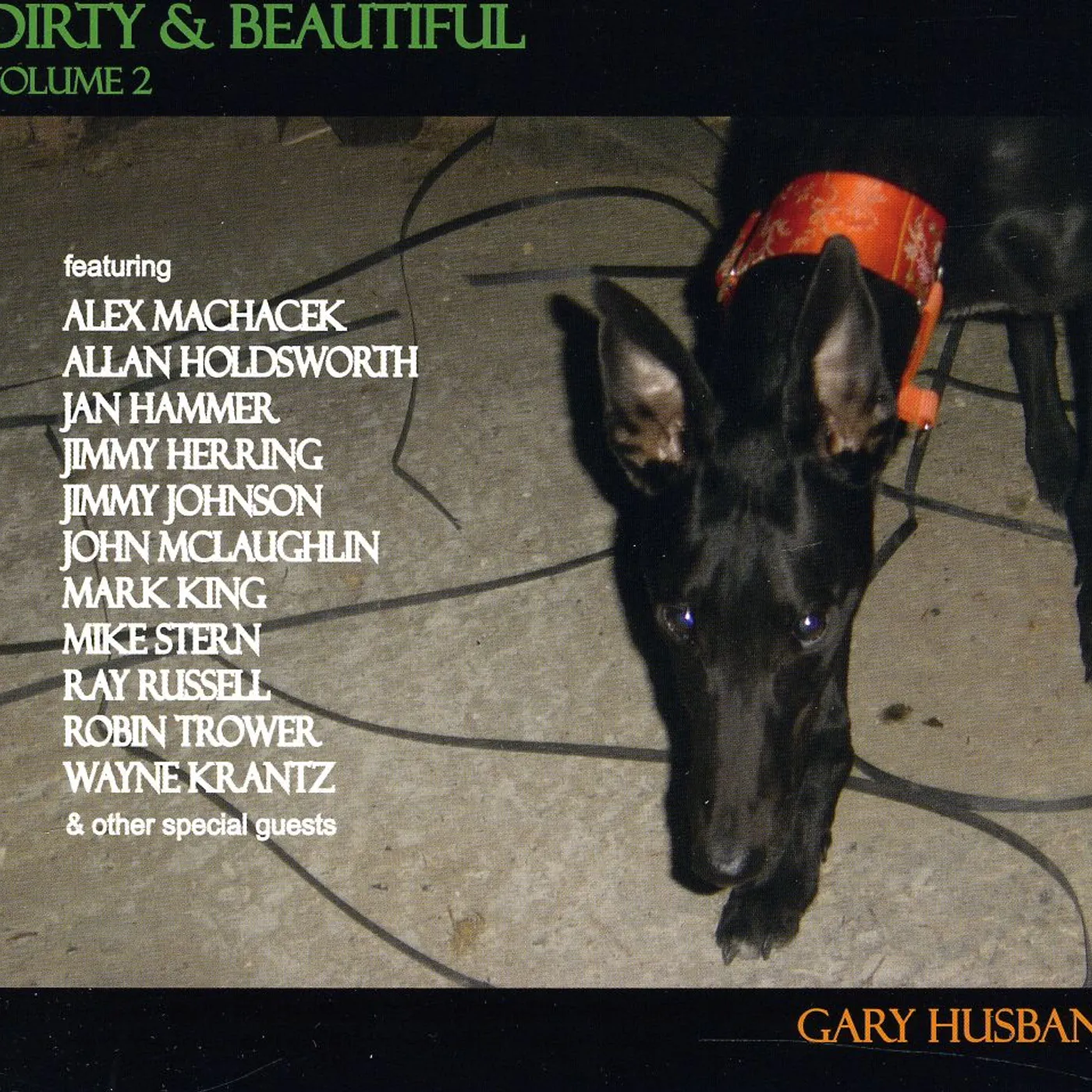 Gary Husband DIRTY & BEAUTIFUL VOL.2 CD