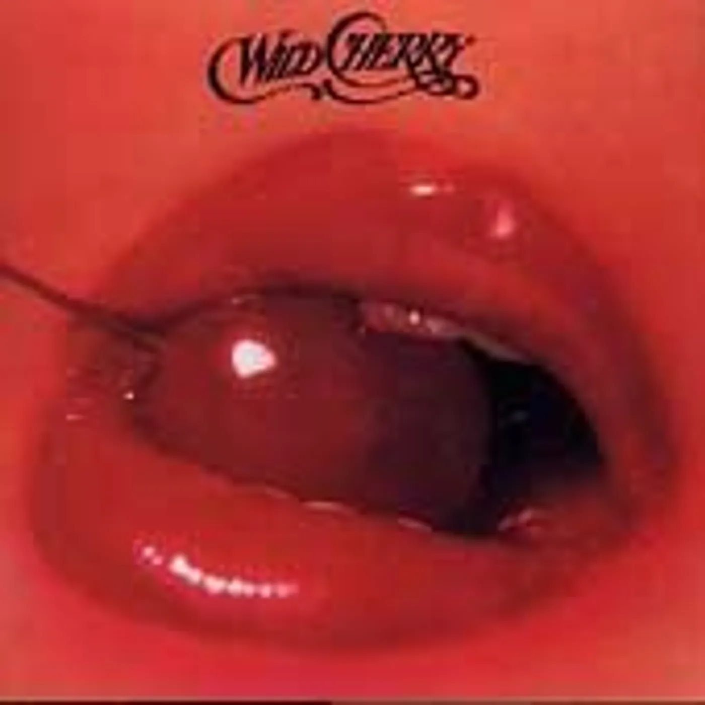 WILD CHERRY PLAY THAT FUNKY MUSIC Vinyl Record