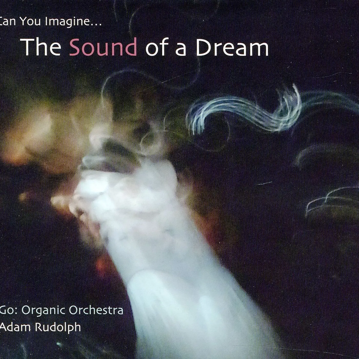 Adam Rudolph GO: ORGANIC ORCHESTRA - CAN YOU IMAGINE THE SOUND CD