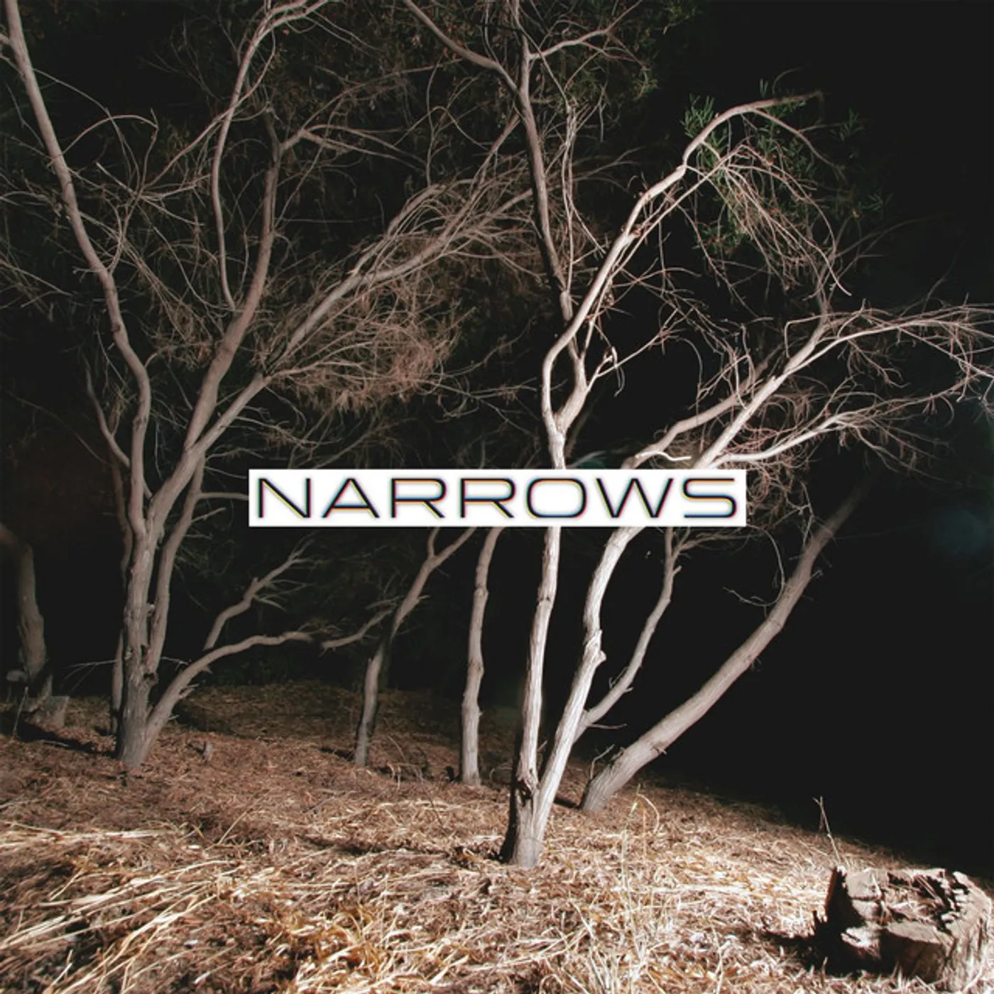 Narrows Vinyl Record