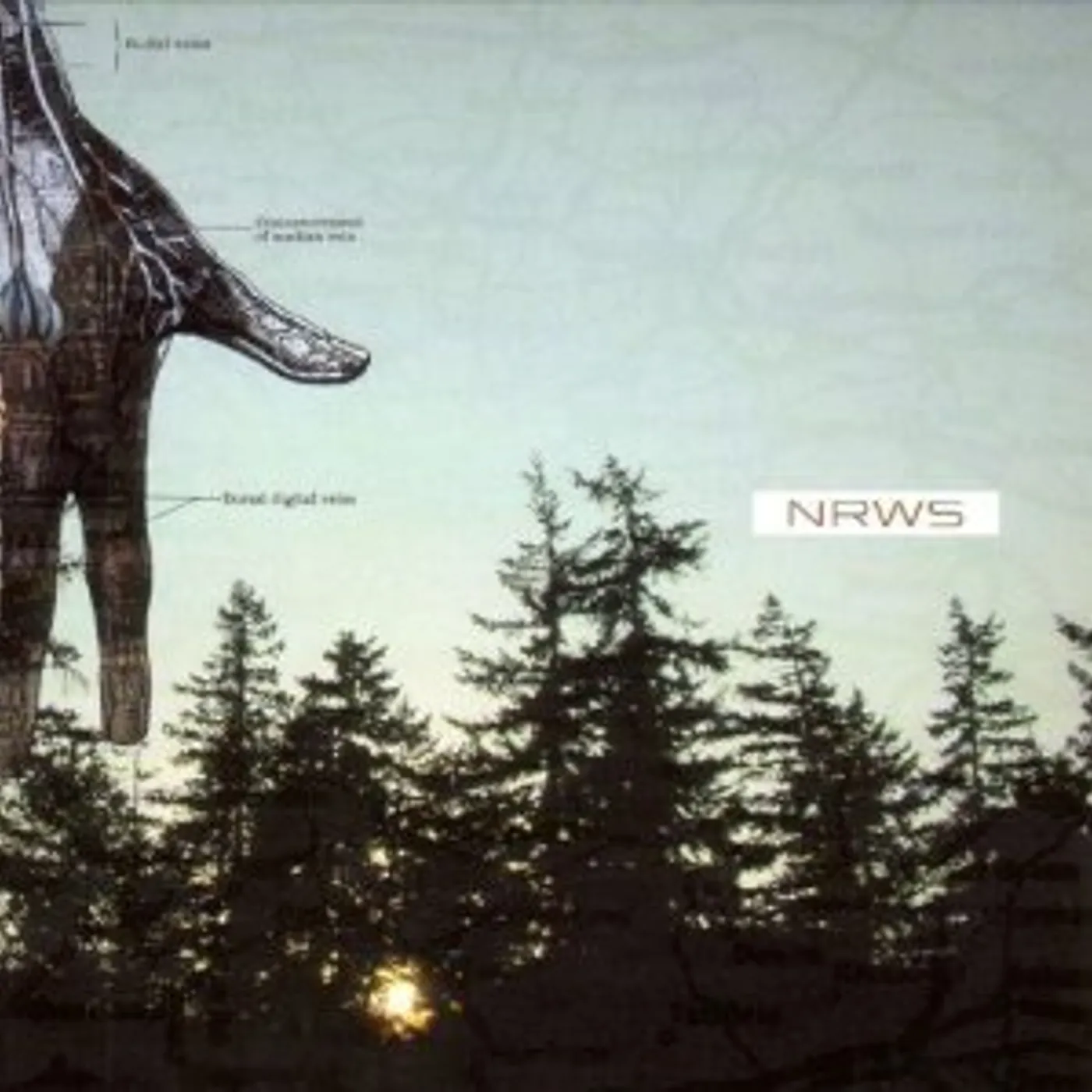 Narrows New Distances Vinyl Record