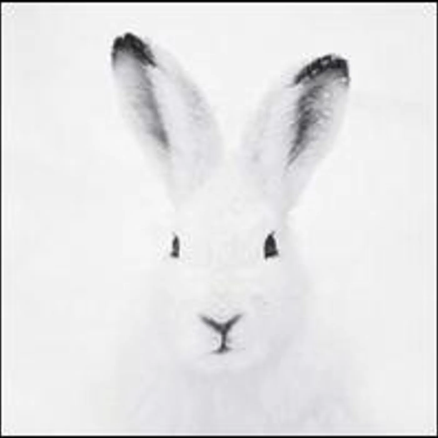 Carsten Rausch Ballin Vinyl Record