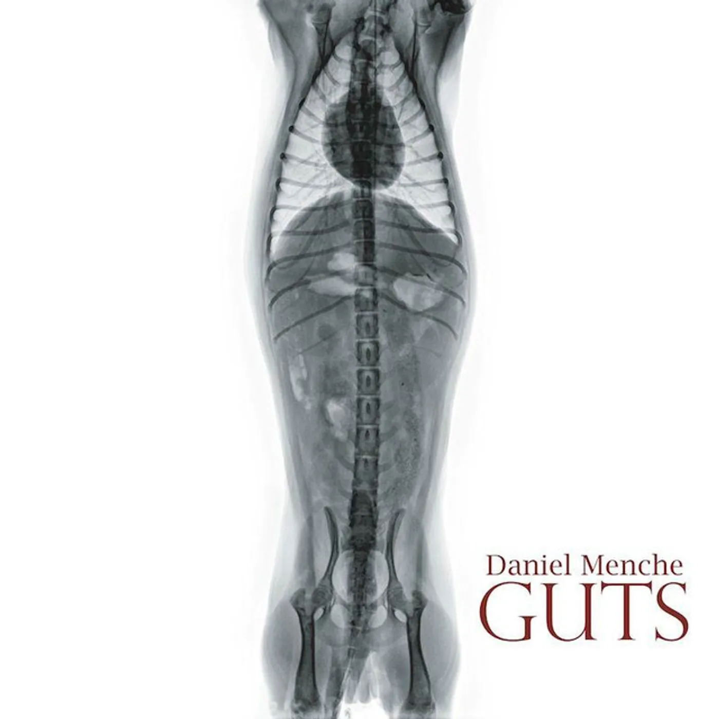 Daniel Menche Guts Vinyl Record