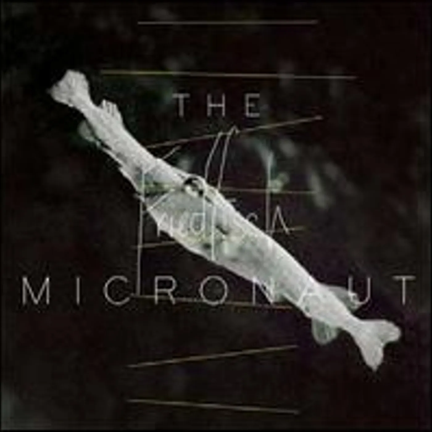 Micronaut FRIEDFISCH Vinyl Record