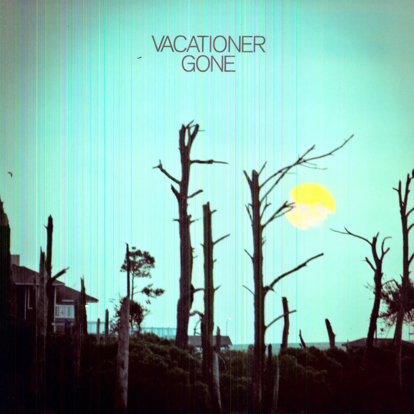 Vacationer Gone Vinyl Record