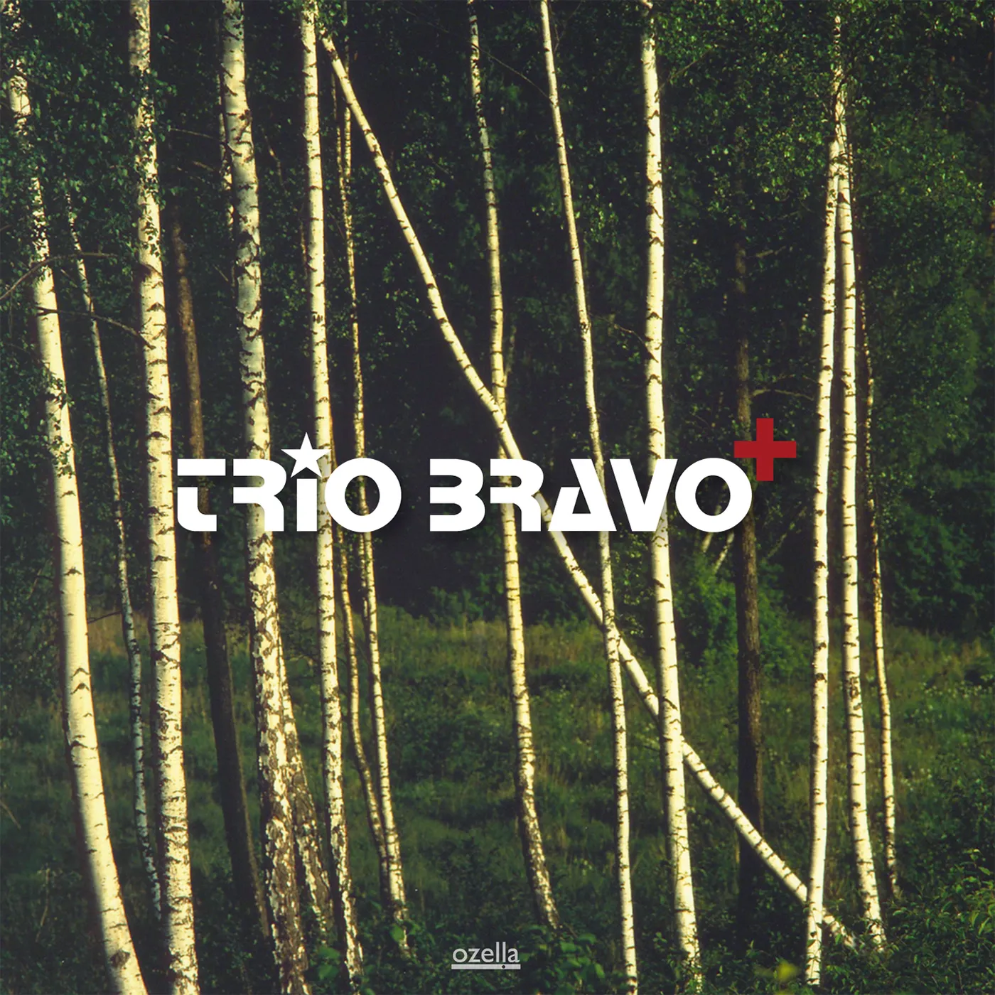 TRIO BRAVO CD