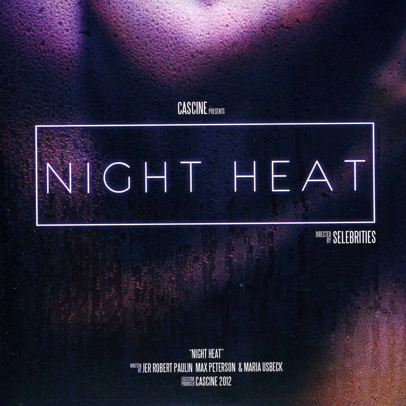 Selebrities Night Heat Vinyl Record