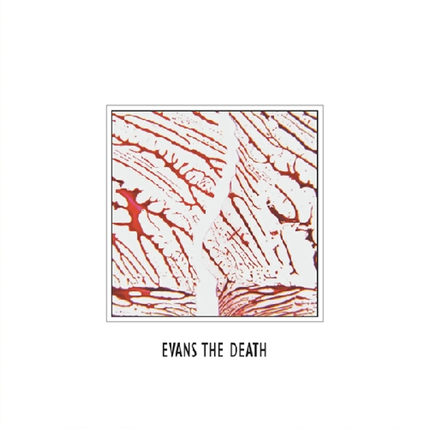 EVANS THE DEATH CD
