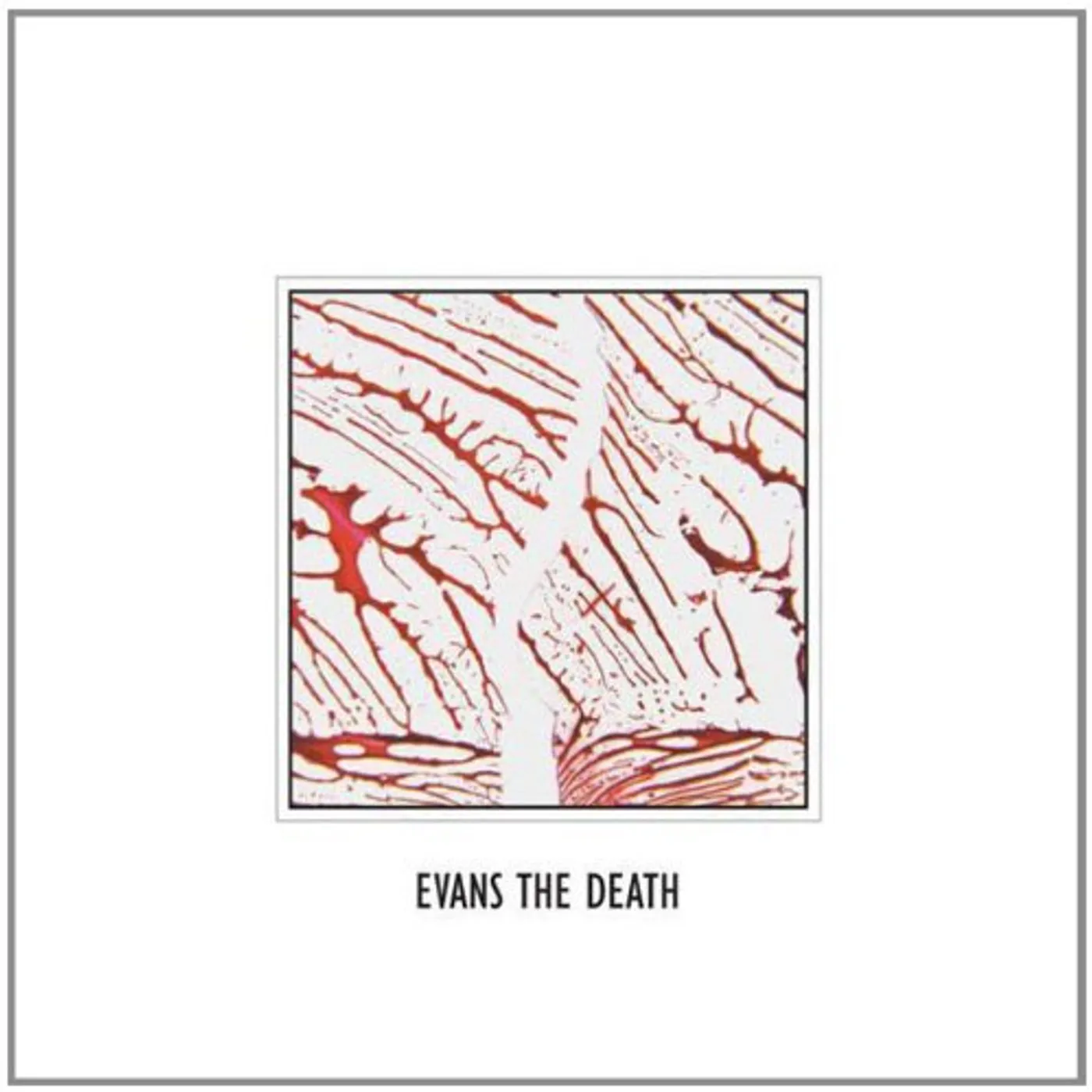 Evans The Death Vinyl Record