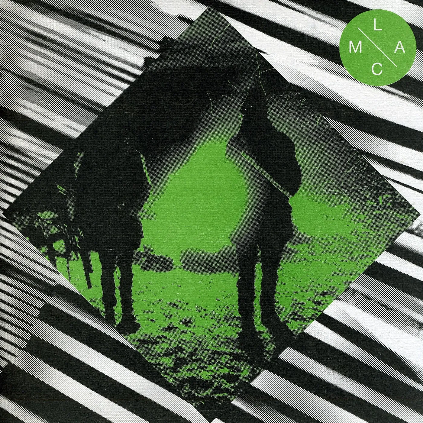 A Place To Bury Strangers Vinyl Record