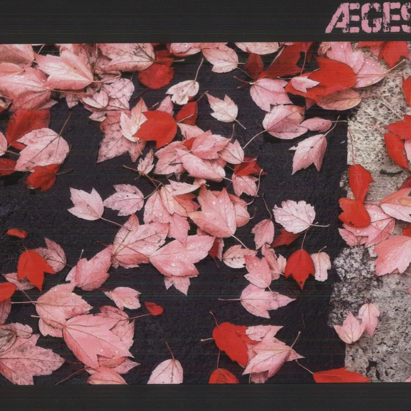Aeges BRIDGE Vinyl Record