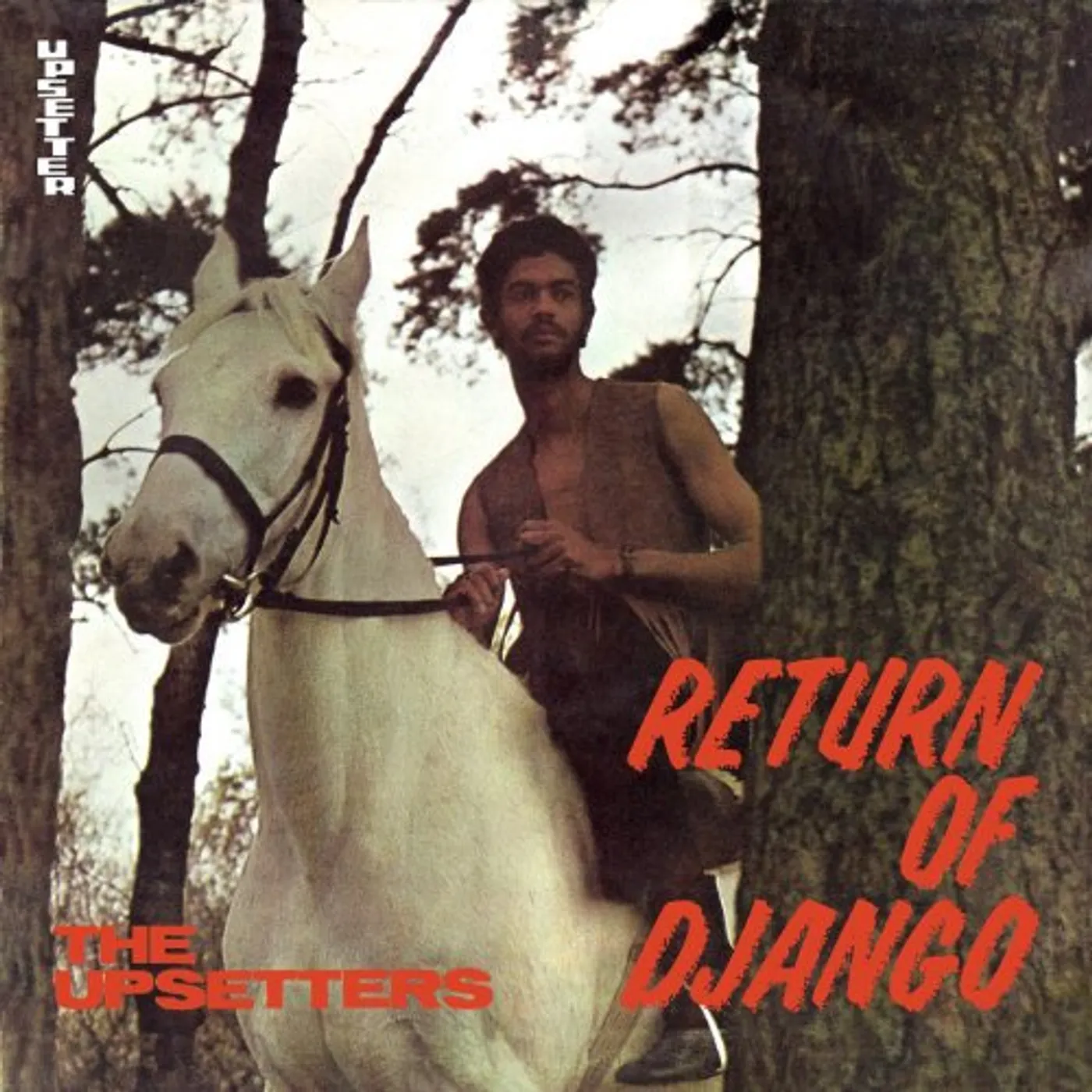 The Upsetters Return Of Django Vinyl Record