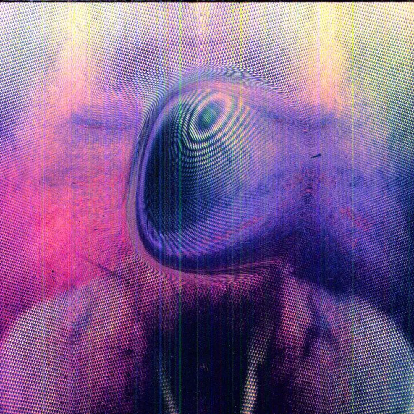 Young Magic MELT CD