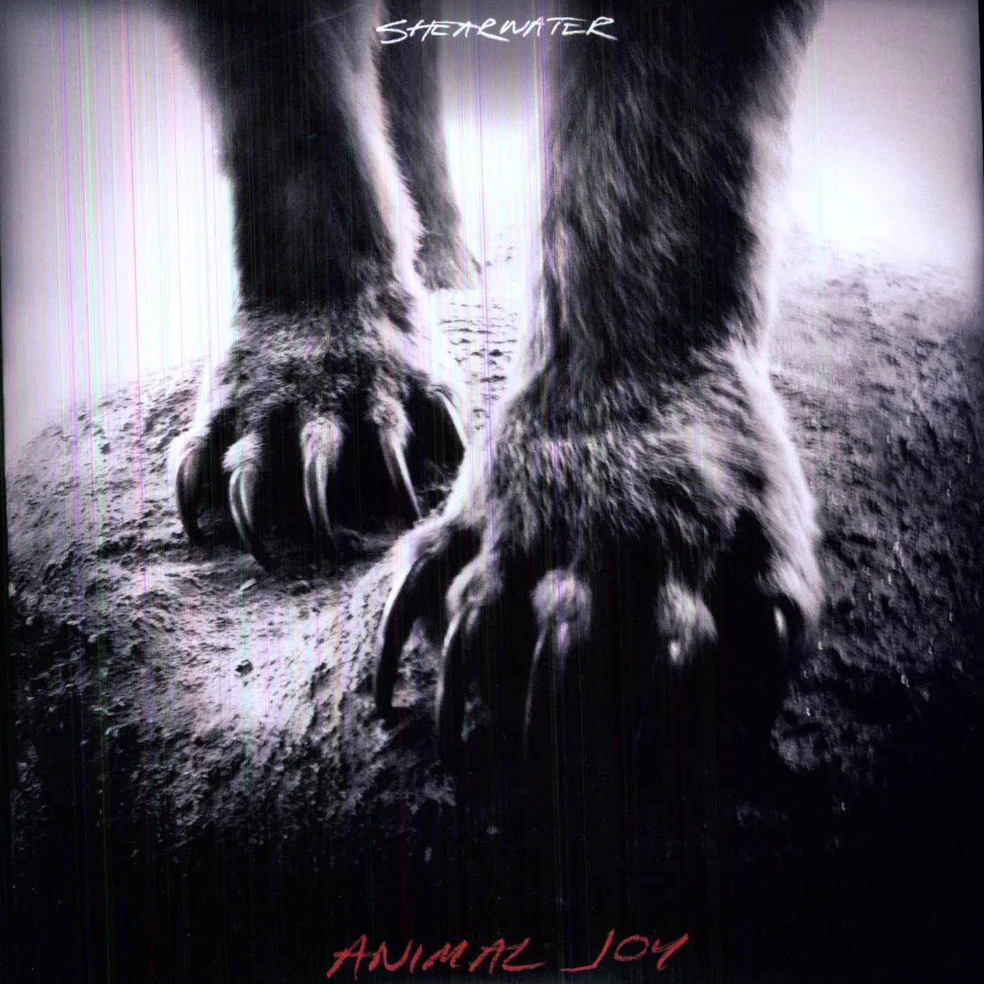 Shearwater Animal Joy Vinyl Record