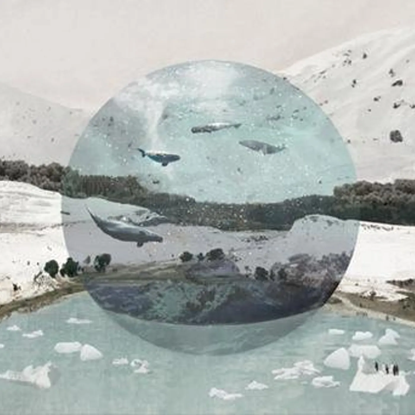 Zitten WHITE NIGHT CD
