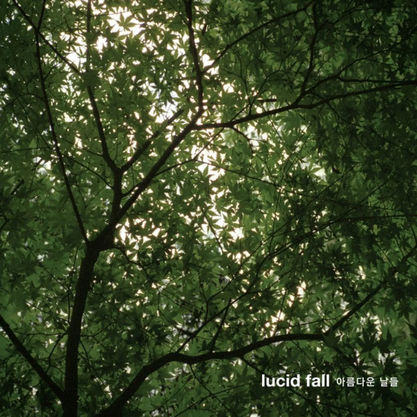 Lucid Fall BEAUTIFUL DAYS CD