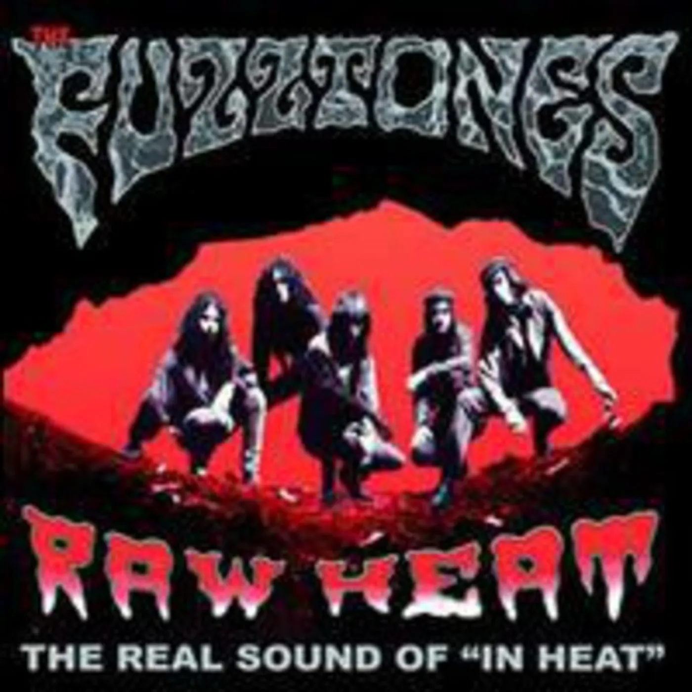 The Fuzztones RAW HEAT THE IN HEAT DEMOS Vinyl Record