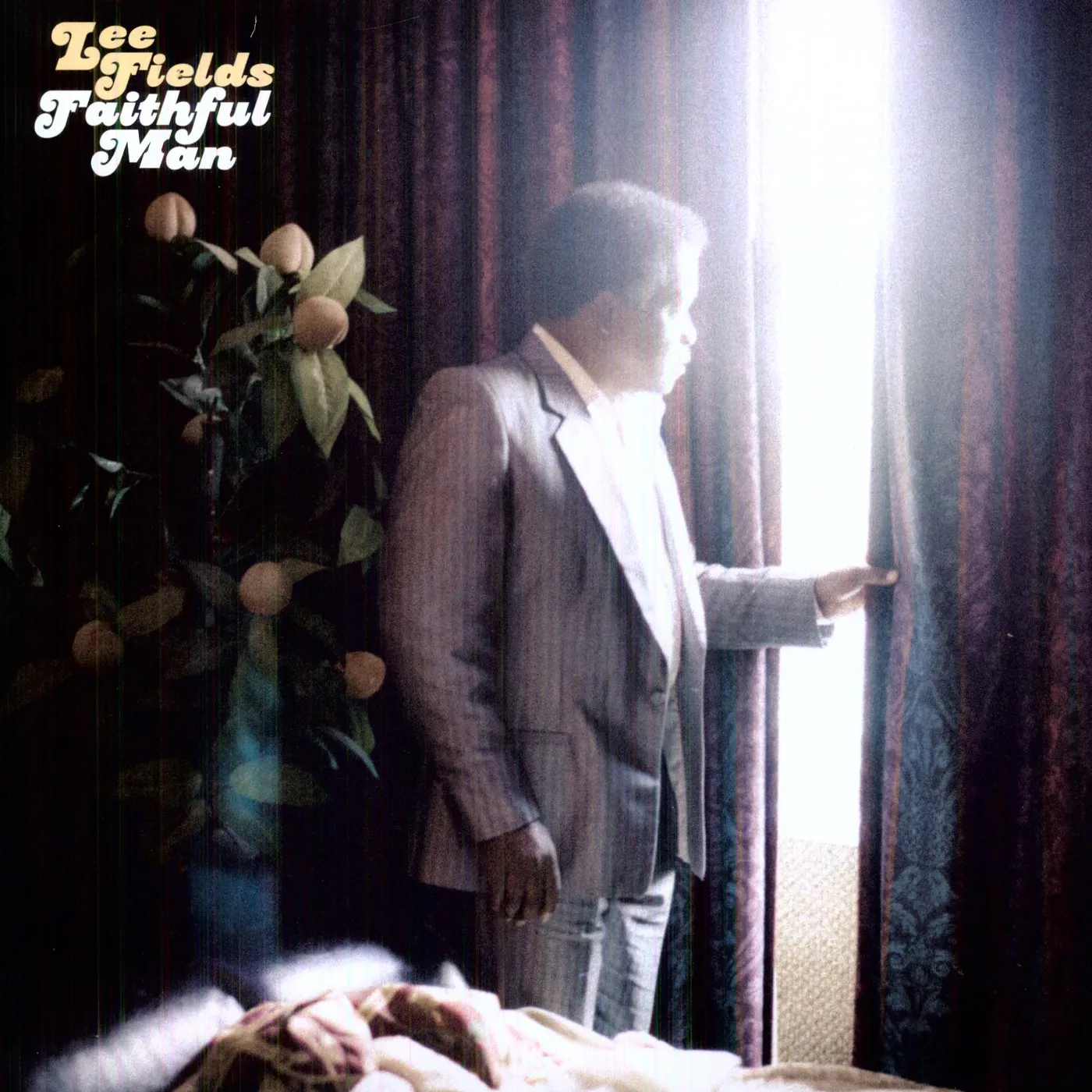 Lee Fields & The Expressions Faithful Man Vinyl Record