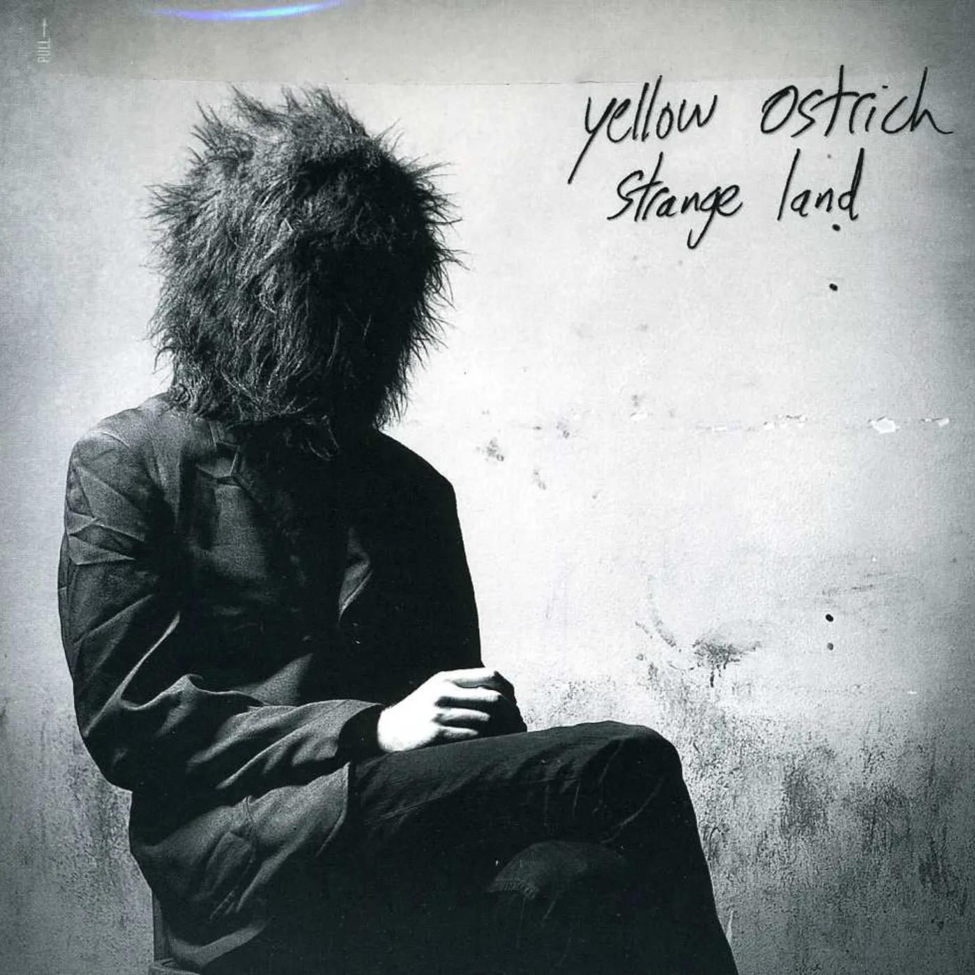 Yellow Ostrich STRANGE LAND CD