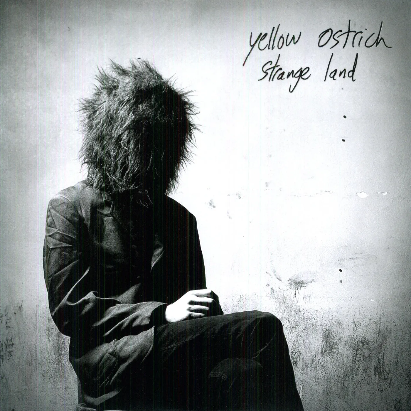 Yellow Ostrich Strange Land Vinyl Record