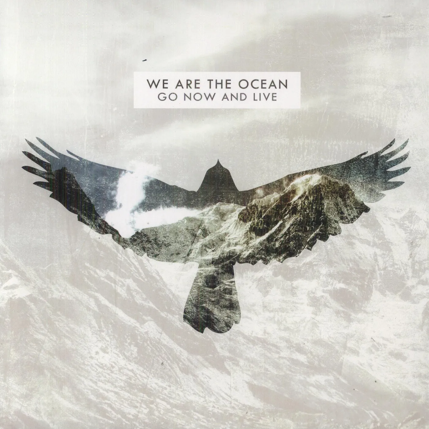 We Are The Ocean Go Now and Live Vinyl Record