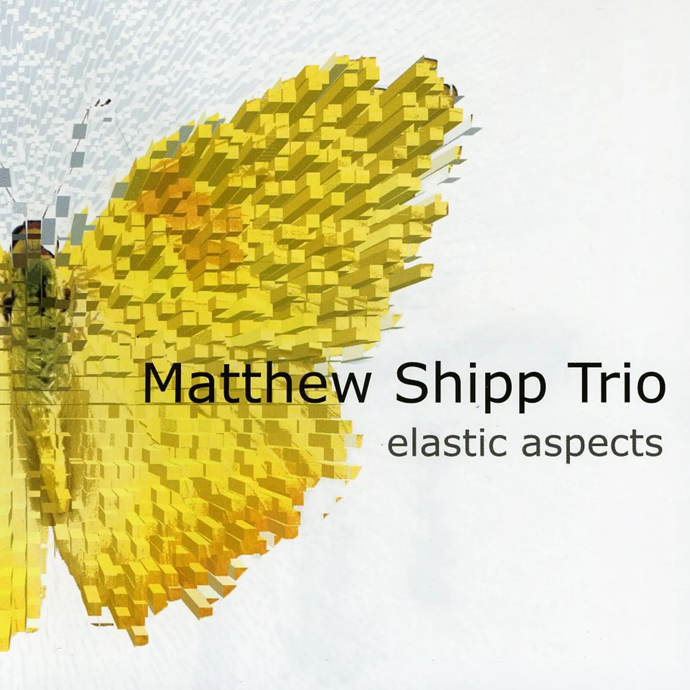 Matthew Shipp ELASTIC ASPECTS CD