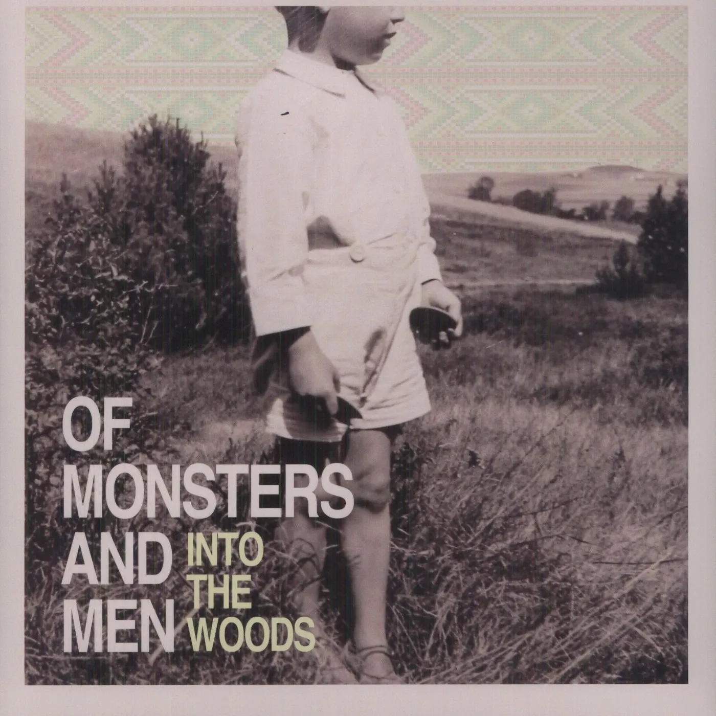 Of Monsters and Men Into The Woods Vinyl Record