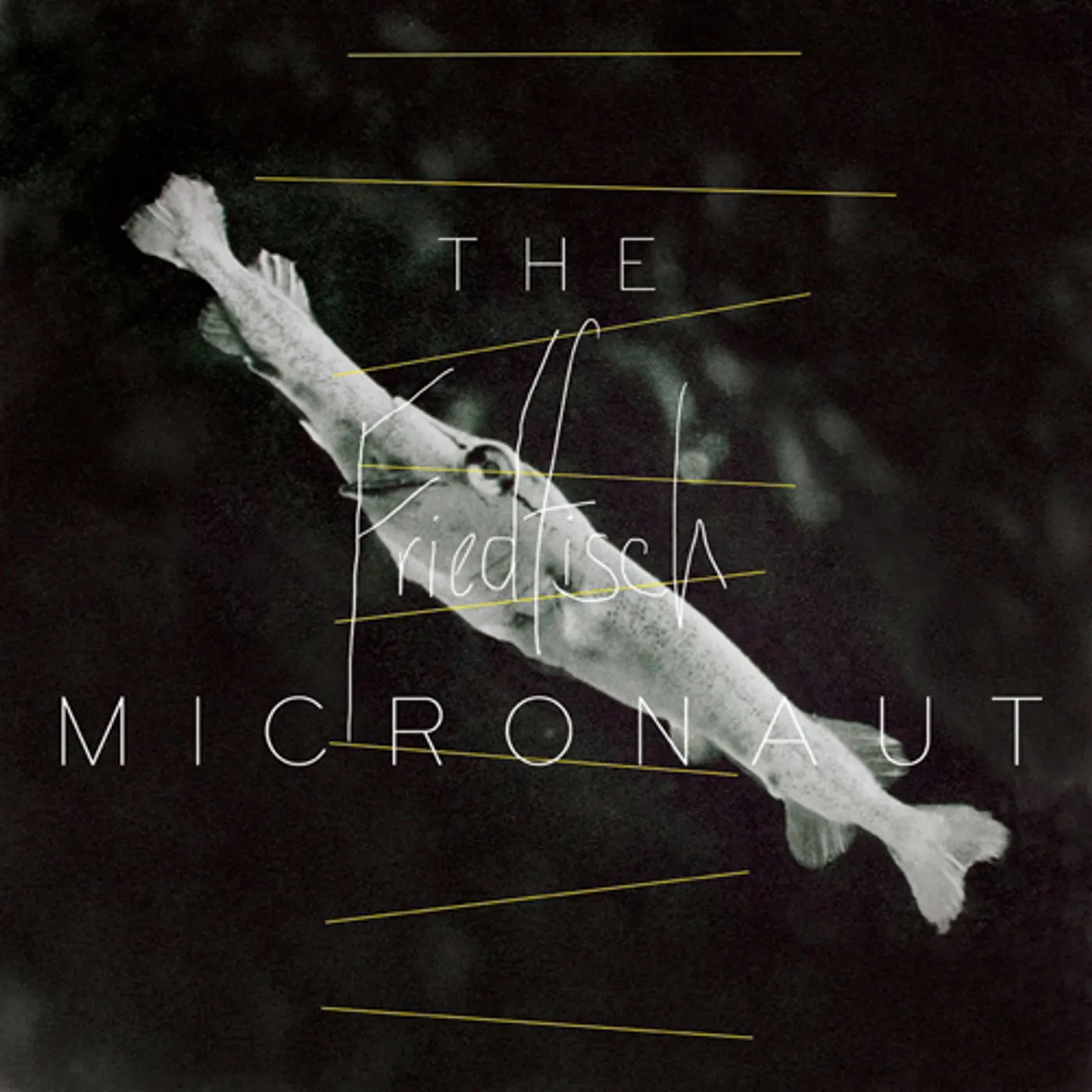 Micronaut Friedfisch Vinyl Record