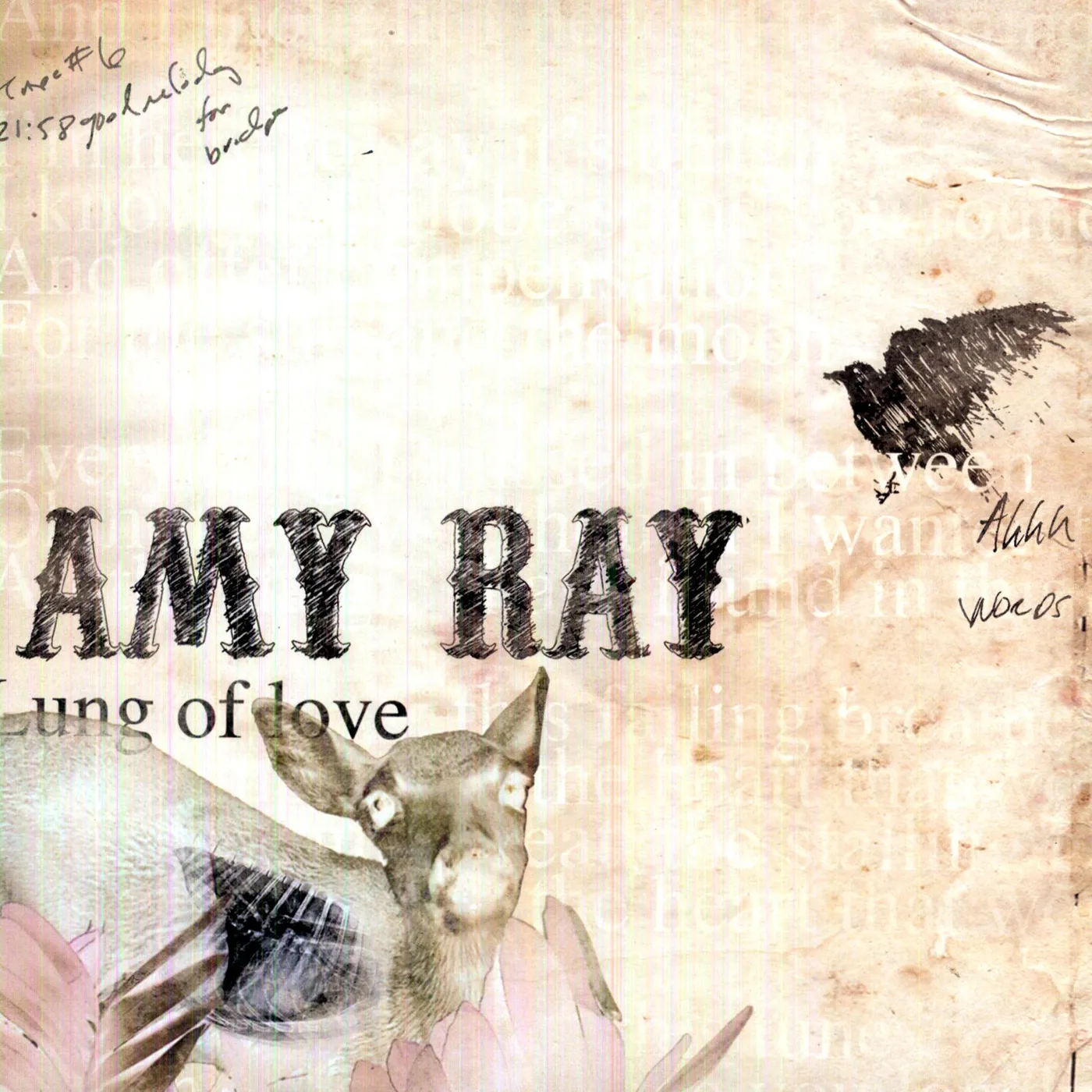 Amy Ray Lung of Love Vinyl Record