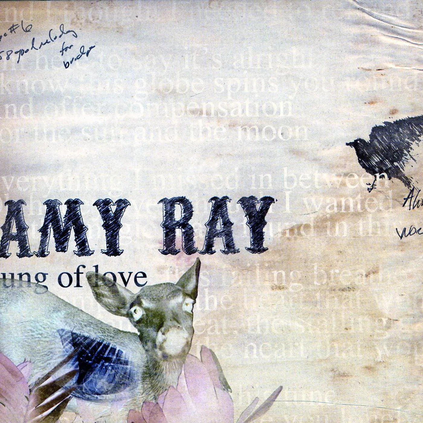 Amy Ray LUNG OF LOVE CD
