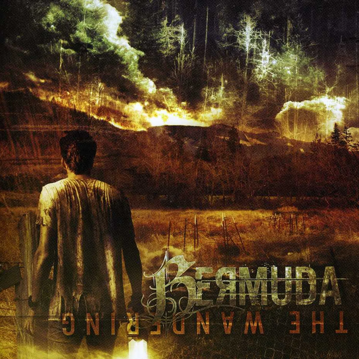 Bermuda WANDERING CD