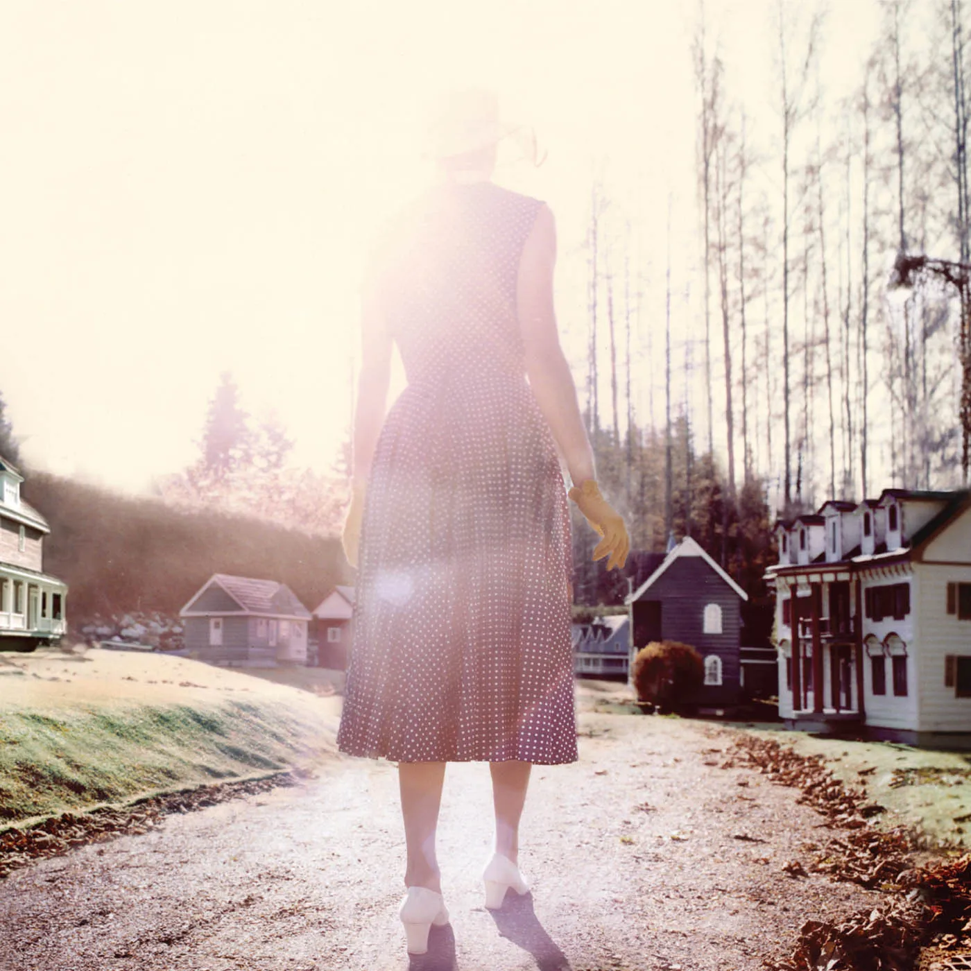 Patrick Watson Adventures in Your Own Backyard Vinyl Record