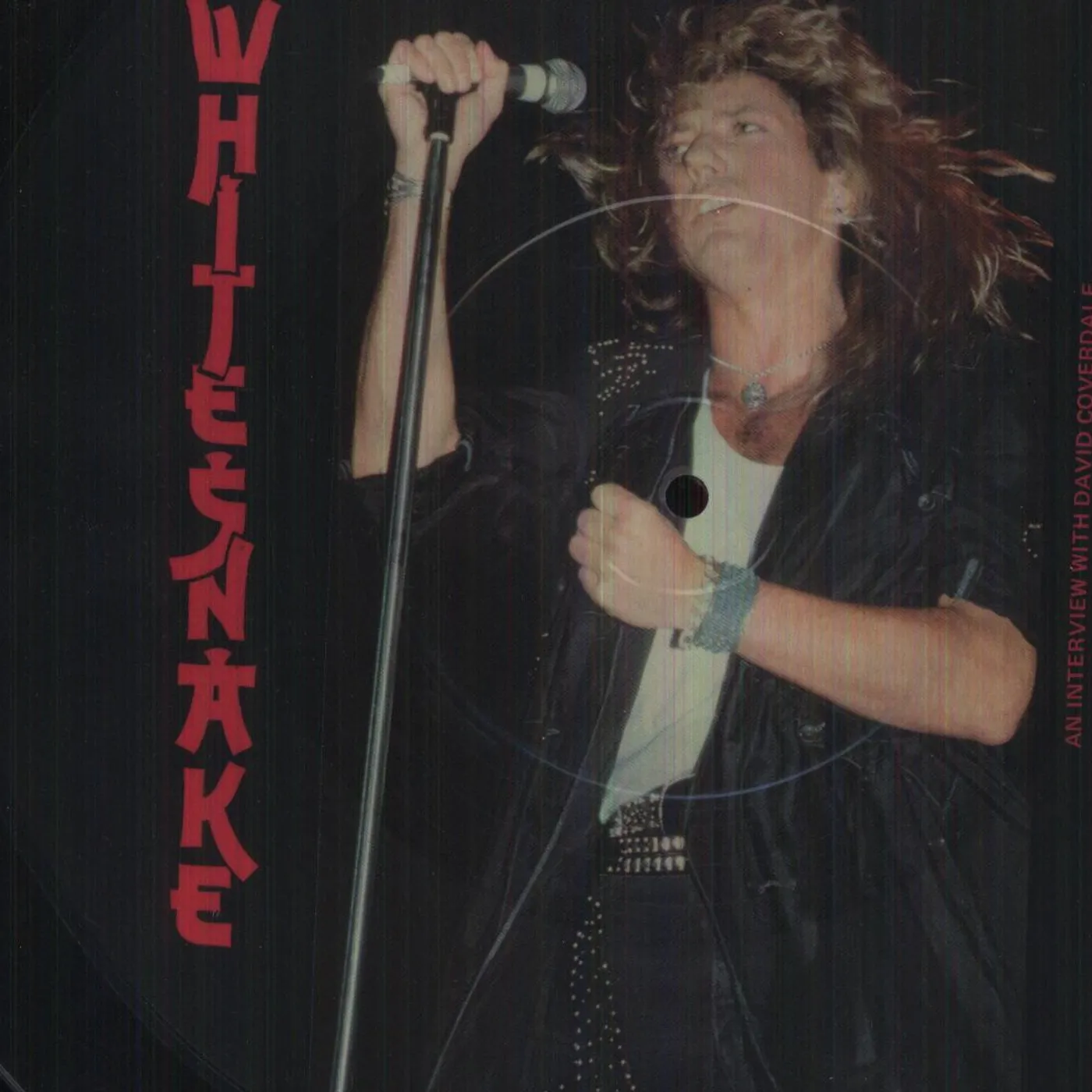 Whitesnake BAT SHAPED PICTURE DISC Vinyl Record