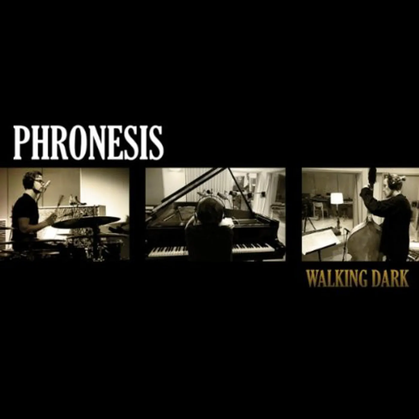 Phronesis WALKING DARK CD