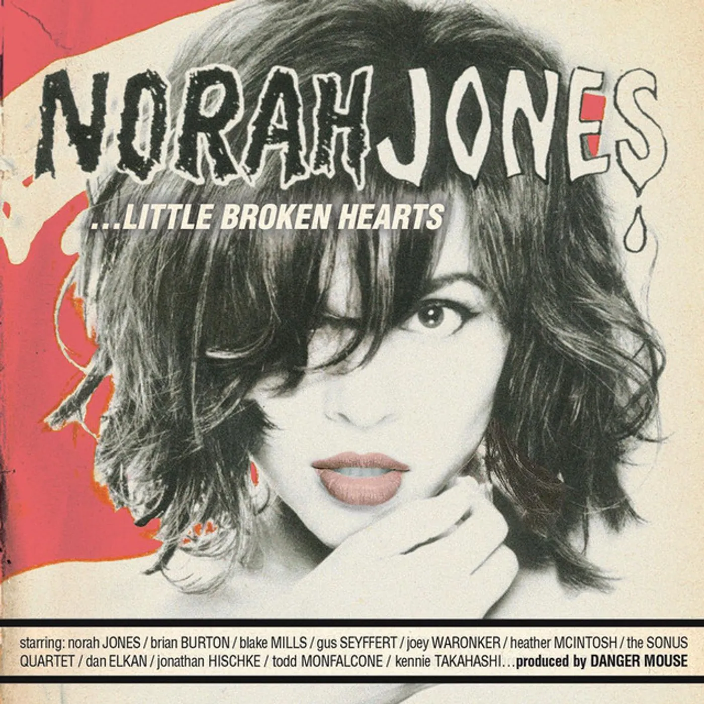Norah Jones Little Broken Hearts Vinyl Record