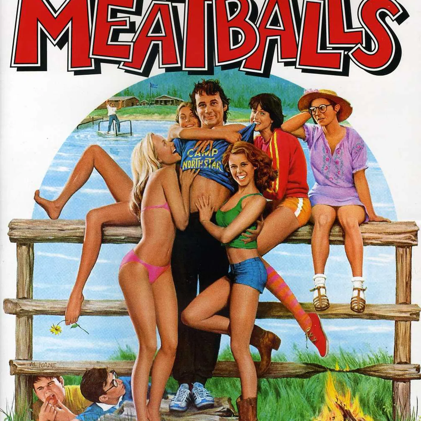 The Meatballs DVD