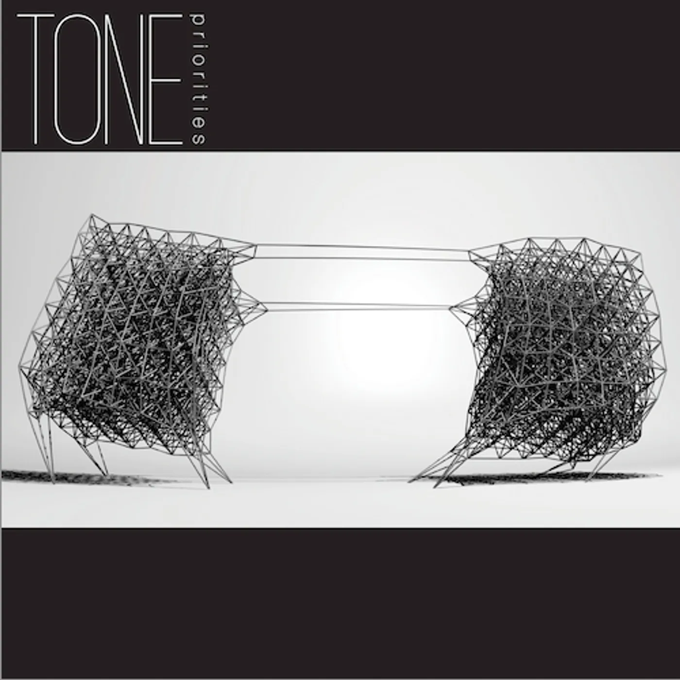 Tone PRIORITIES Vinyl Record