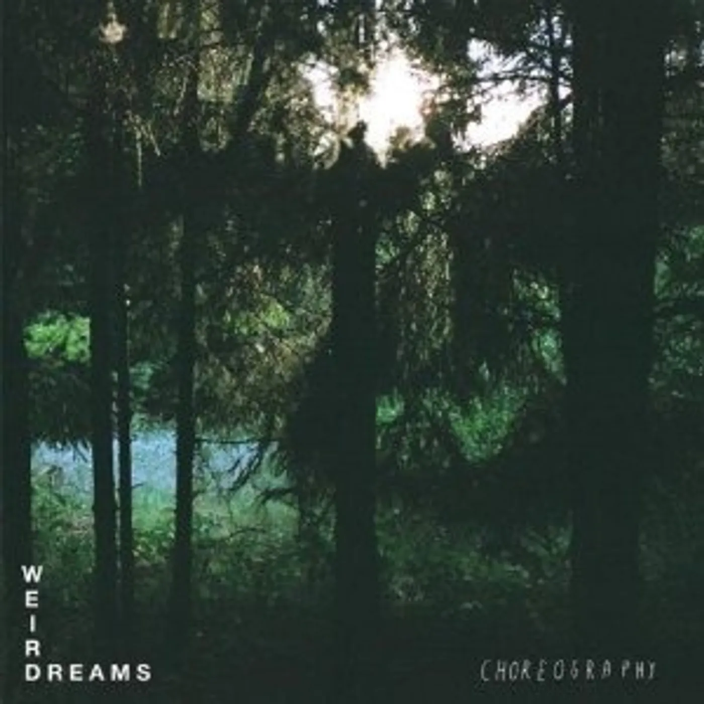 Weird Dreams Choreography Vinyl Record
