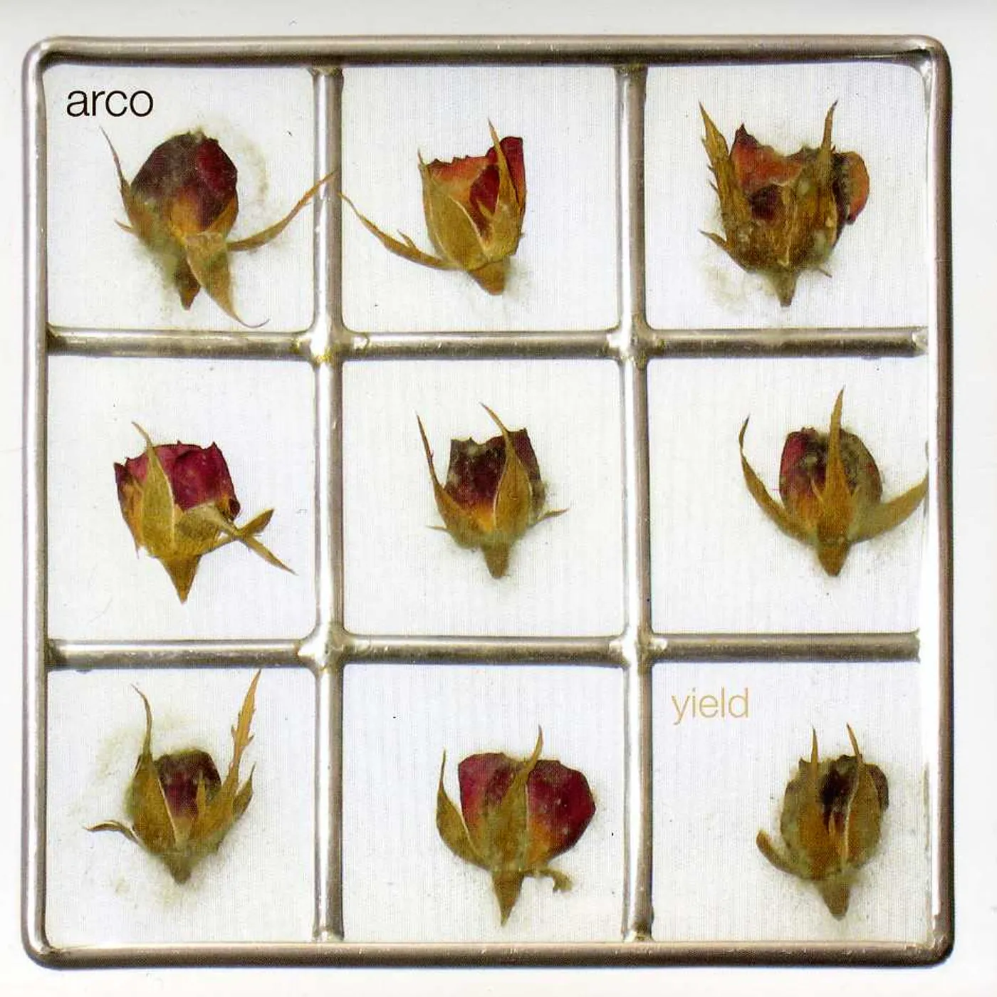 Arco YIELD CD