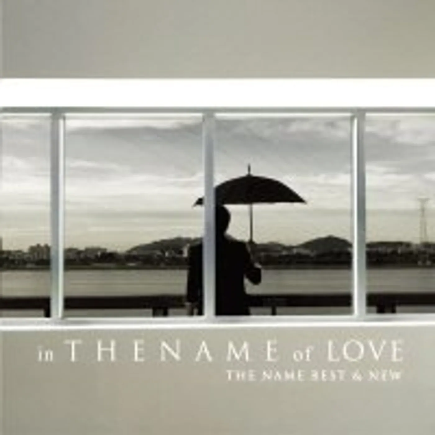 IN THE NAME OF LOVE: BEST & NEW CD