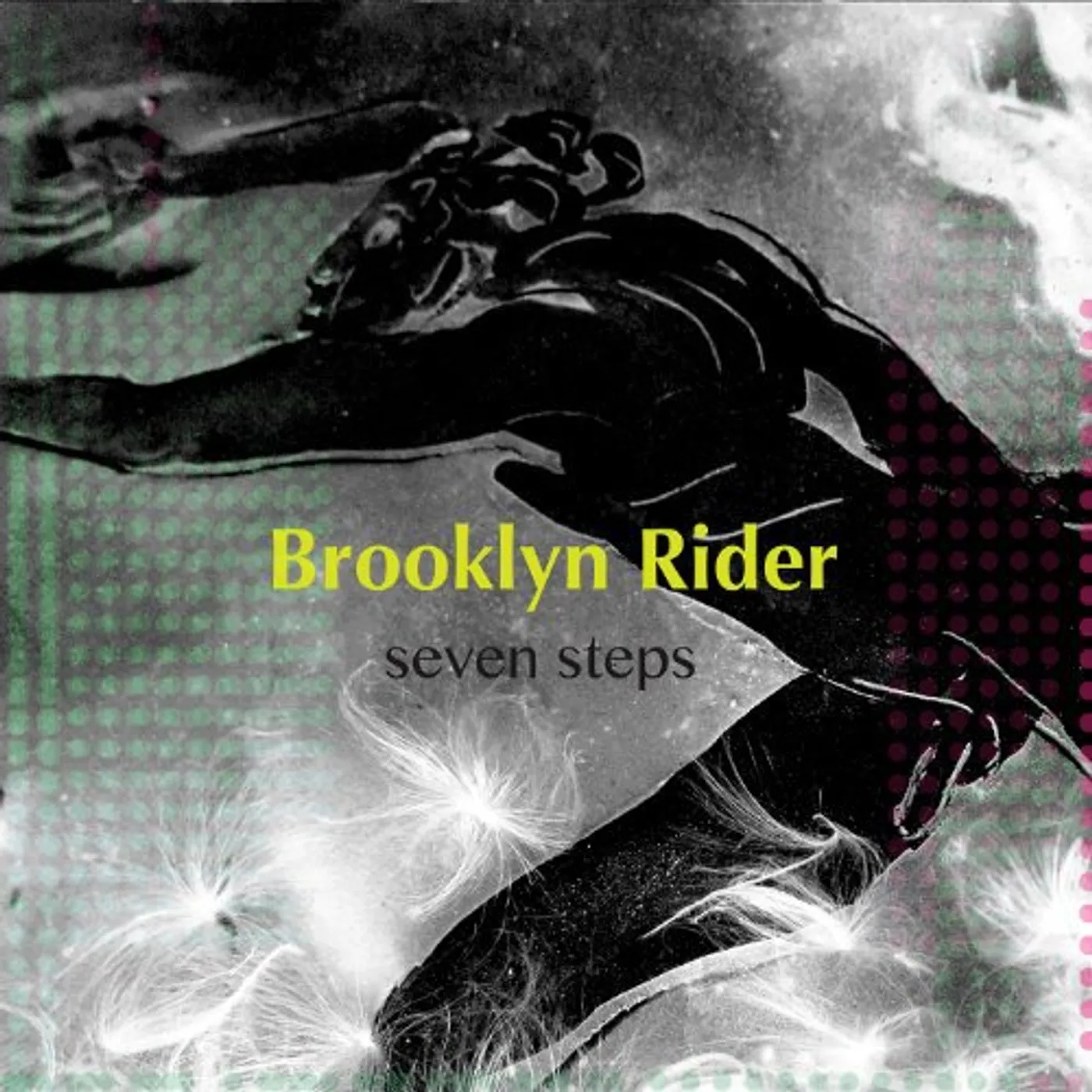 Brooklyn Rider Seven Steps Vinyl Record