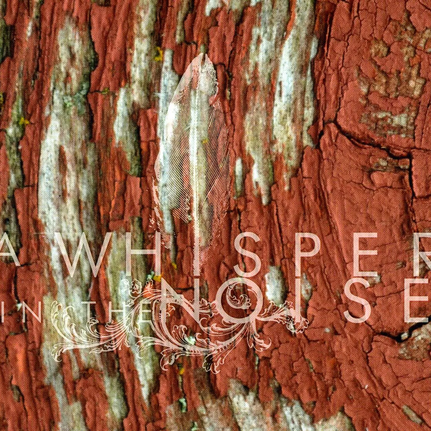 A Whisper in the Noise TO FORGET CD