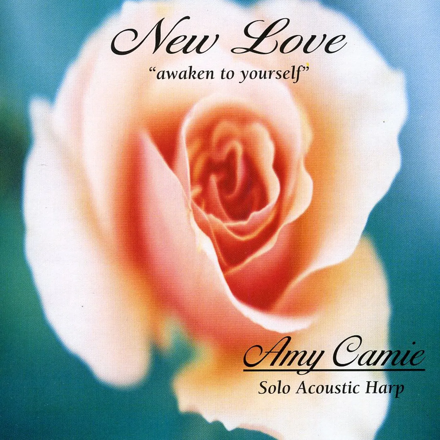 Amy Camie NEW LOVE CD
