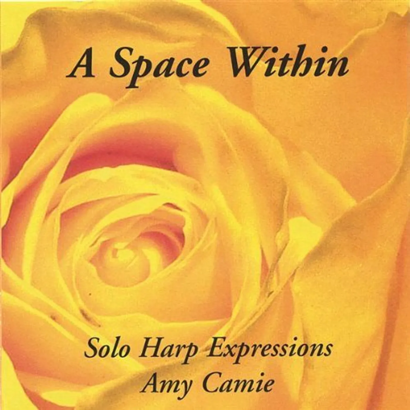 Amy Camie A SPACE WITHIN CD