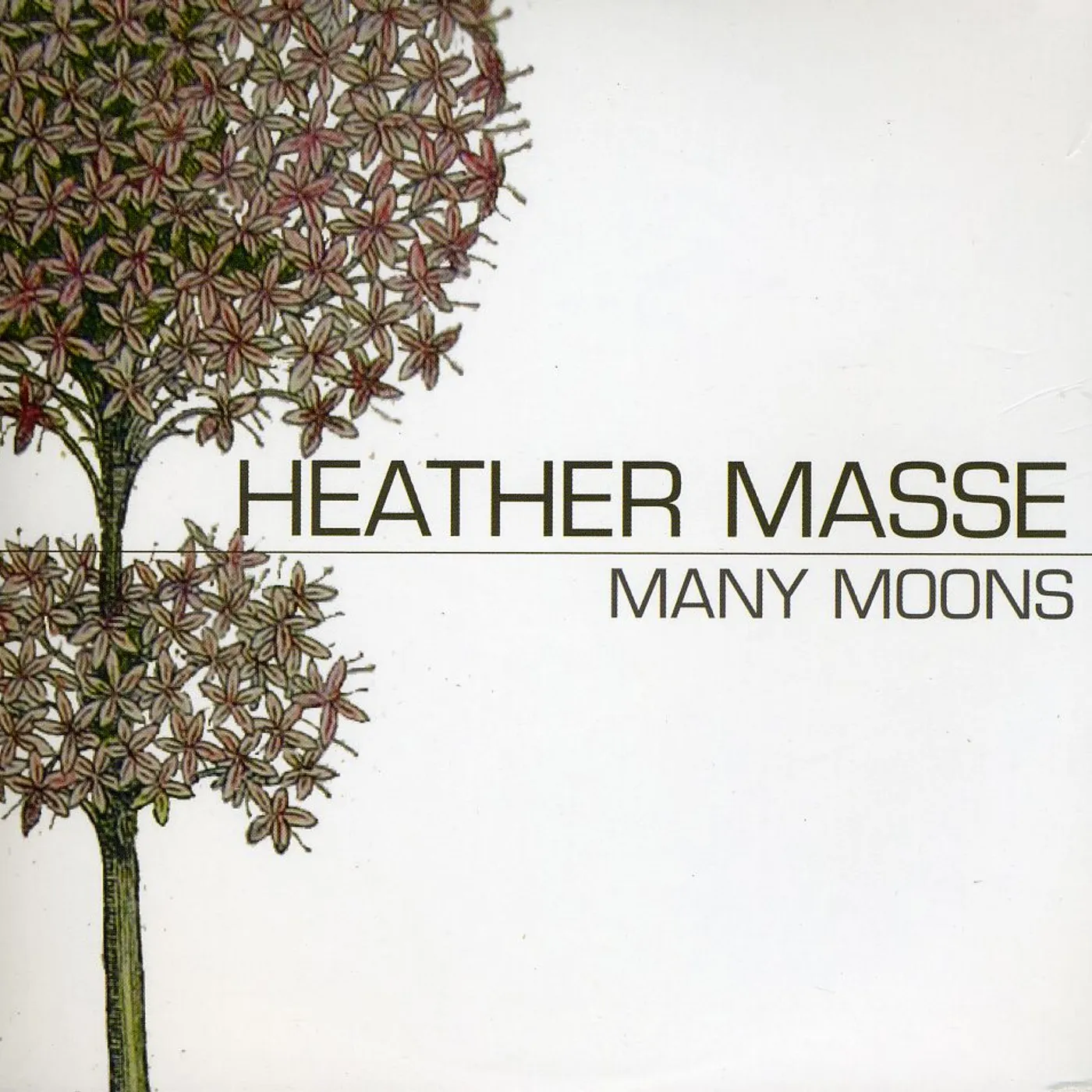 Heather Masse MANY MOONS CD