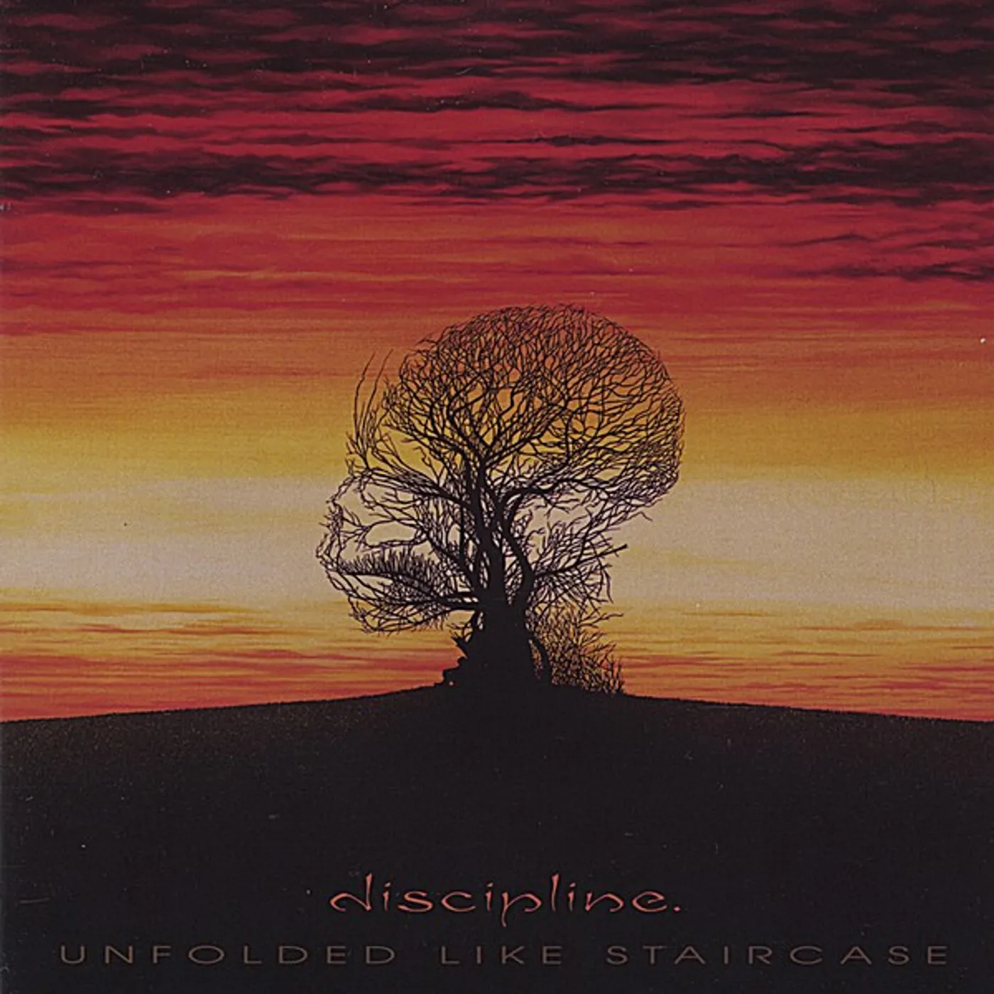 Discipline. UNFOLDED LIKE STAIRCASE CD