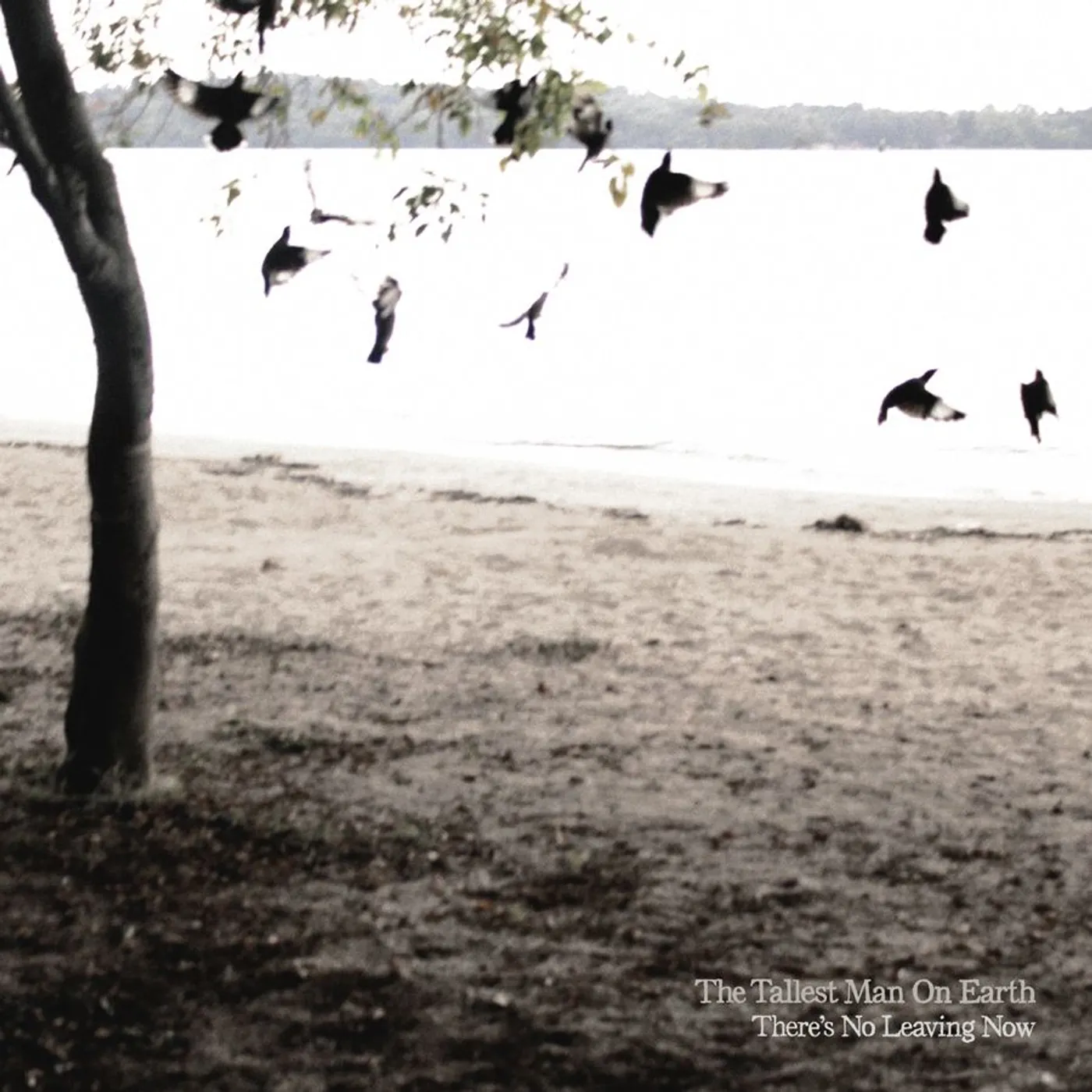 The Tallest Man On Earth THERE'S NO LEAVING NOW CD